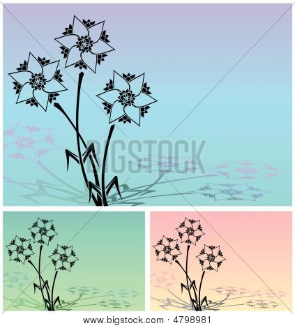 Schwarze Blume
