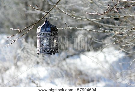 The lamp hanging on a tree branch