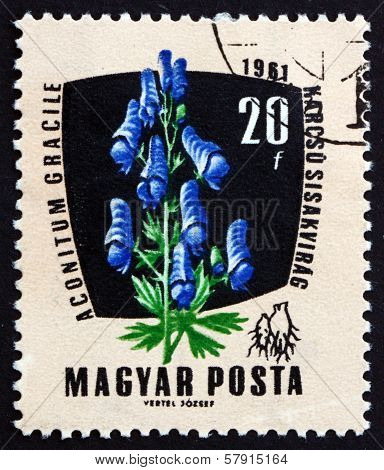 Postage Stamp Hungary 1961 Monk's Hood, Medical Herb