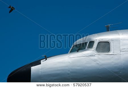 Douglas Dc-7 And Swallow