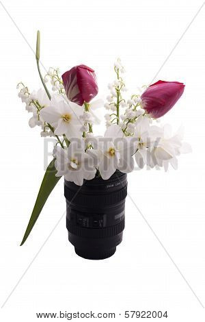 The Spring Flowers Are In A Vase On A White Background