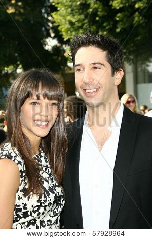 David Schwimmer  at the Los Angeles Premiere of 'Madagascar Escape 2 Africa'. Mann Village Theatre, Westwood, CA. 10-26-08