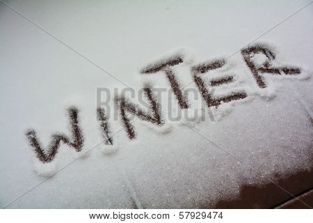 Winter
