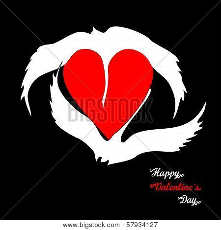 Swans, loyalty and love