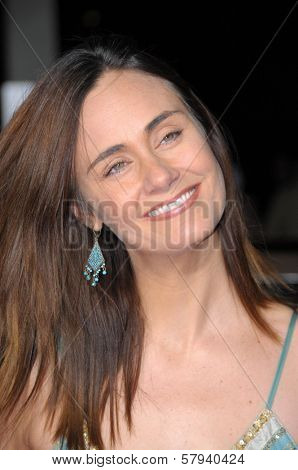 Diane Farr  at the 2008 AFI Film Festival Screening of 'Defiance'. Arclight Theater, Hollywood, CA. 11-09-08