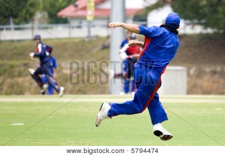 Cricket Game