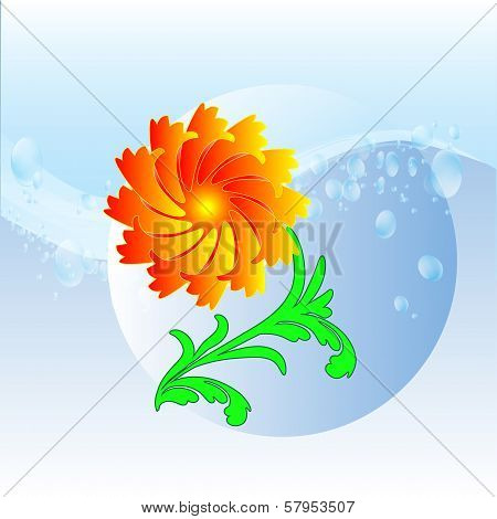 red flower