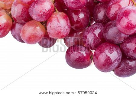 Wet grape