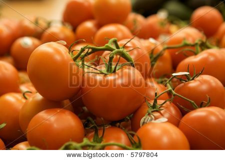 Grupo de tomate