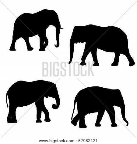 Black silhouettes of four elephants