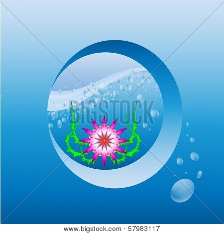 star of the Sea