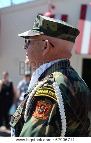 Vietnam Veteran At The Ypsilanti, Mi 4Th Of July Parade