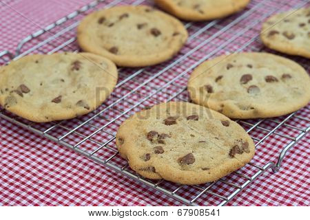 Beautiful Fresh Hand Made Chocolate Chip Cookies