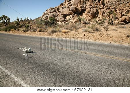 A lost hiker dies of thirst on a deserted desert road inches away from a bottle of water.  Dark Humor Series. 
