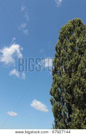 Plot The Open Sky With Clouds