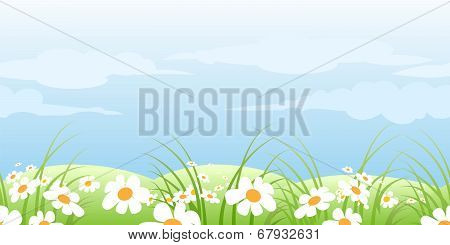 Summer Meadow Pattern