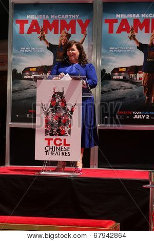 LOS ANGELES - JUL 2:  Melissa McCarthy at the Melissa McCarthy Hand and Footprint Ceremony at the TCL Chinese Theater on July 2, 2014 in Los Angeles, CA