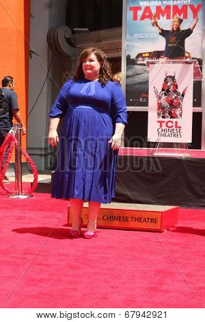 LOS ANGELES - JUL 2:  Melissa McCarthy at the Melissa McCarthy Hand and Footprint Ceremony at the TCL Chinese Theater on July 2, 2014 in Los Angeles, CA