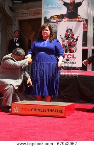 LOS ANGELES - JUL 2:  Melissa McCarthy at the Melissa McCarthy Hand and Footprint Ceremony at the TCL Chinese Theater on July 2, 2014 in Los Angeles, CA