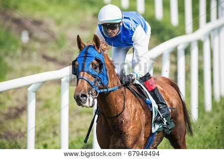 Closeup Of A Jockey After A Curve At The Nationaldags Galoppen