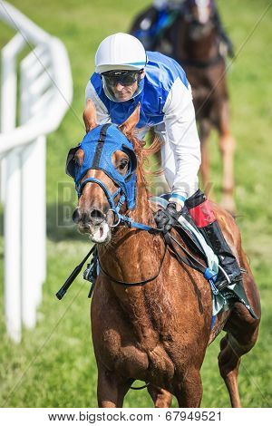Closeup Of A Jockey After A Curve At The Nationaldags Galoppen