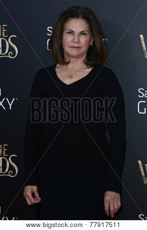 NEW YORK-DEC 8: Costume designer Colleen Atwood attends the 