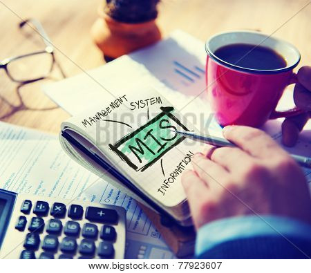 Management Information System MIS Data Development Information Concept