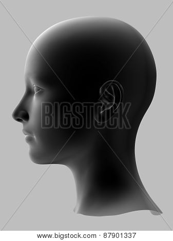 Woman Head