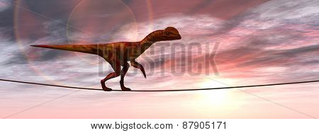Concept or conceptual abstract business metaphor as wild heavy dinosaurus balancing on rope over sunset sky background banner
