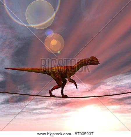 Concept or conceptual abstract business metaphor as wild heavy dinosaurus balancing on rope over sunset sky background