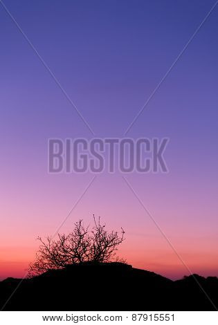 Beautiful Landscape Image With Trees Silhouette At Sunset In Spr