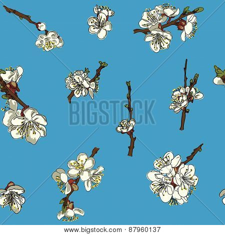 Seamless Background Of Apple Flowers