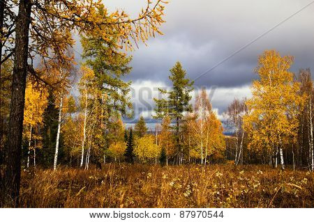 Autumn In The Southern Urals, Russia