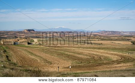 Estepas De Belchite, Zaragoza, Aragon, Spain