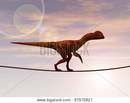 Concept or conceptual abstract business metaphor as wild heavy dinosaurus balancing on rope over sunset sky background