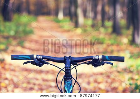 Mountain biking down hill descending fast on bicycle. View from bikers eyes.