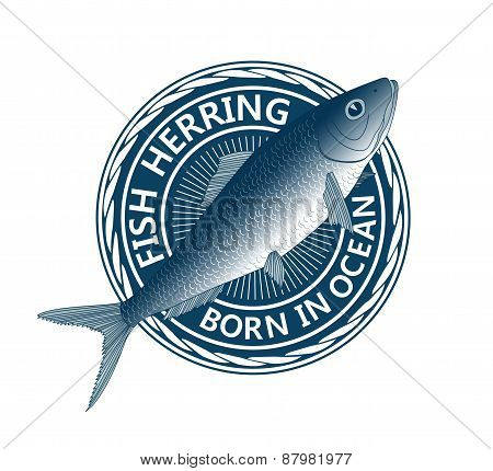 Blue Fish Herring