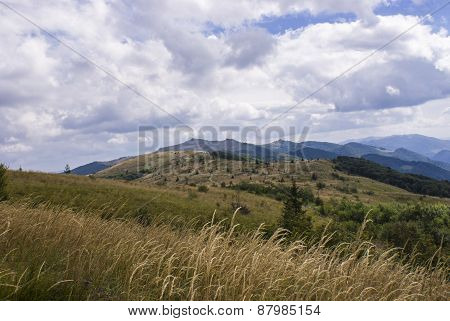 Hills Of Bieszczady Mountains