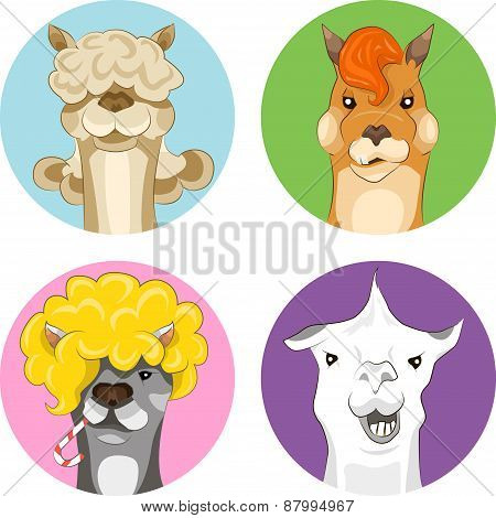Super lamas