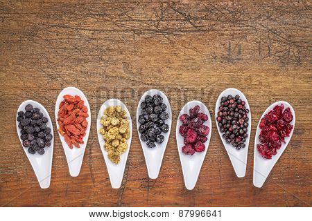 healthy dried berry collection (blueberry, mulberry, cherry, goji, elderberry, chokeberry,) cranberry on  ceramic spoons against rustic wood with a copy space