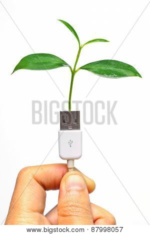 handing holding a tree growing on a usb cable / green IT / go green
