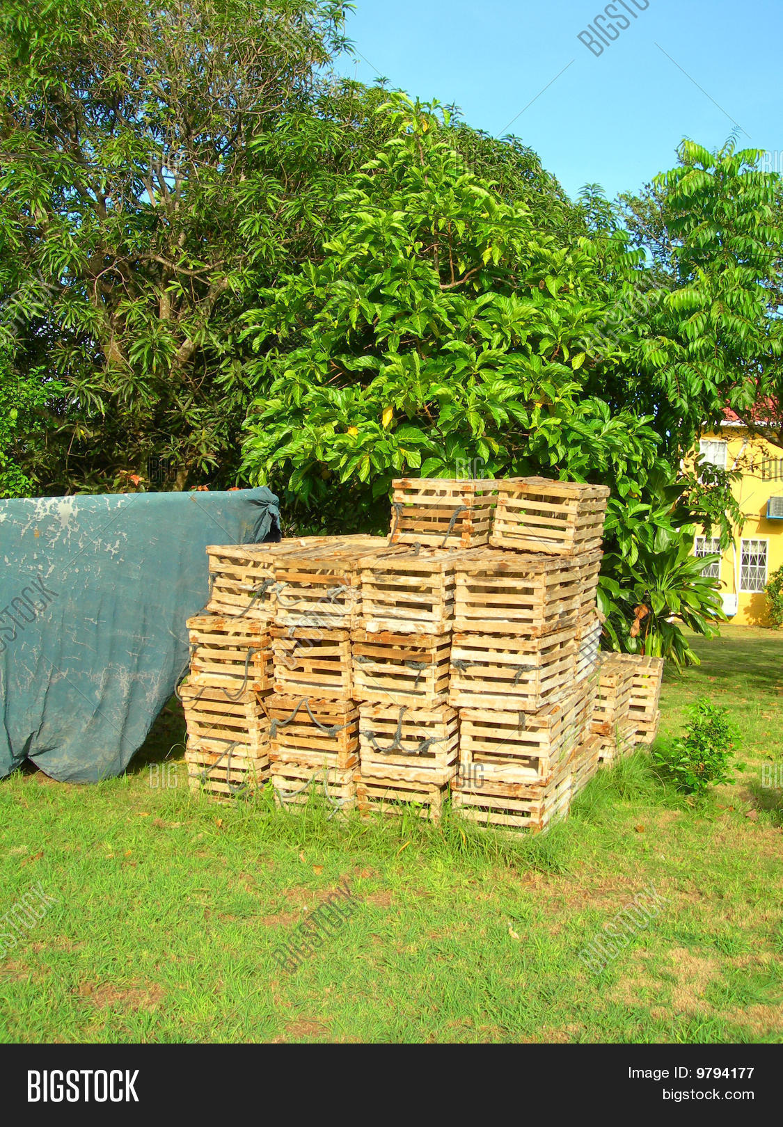 Lobster Pot Traps Yard Image & Photo (Free Trial) Bigstock
