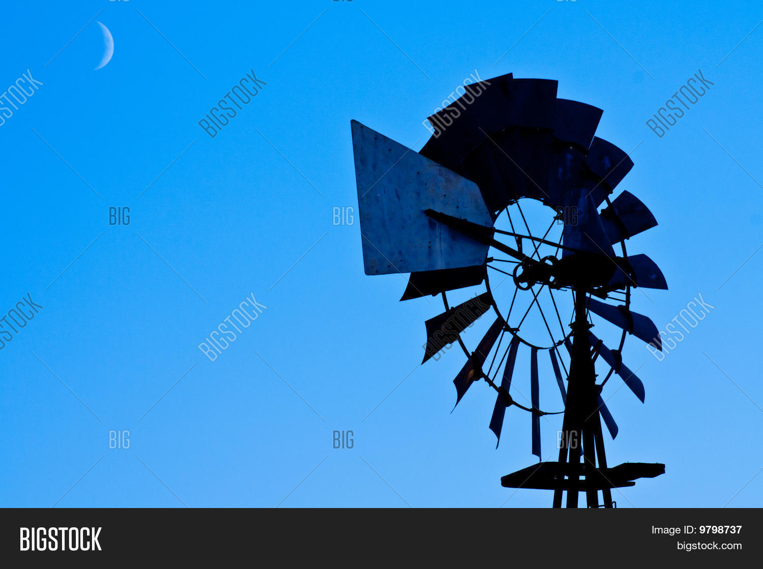 Image Preview