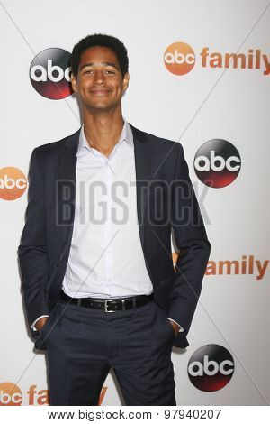 , LOS ANGELES - AUG 4:  Alfred Enoch at the ABC TCA Summer Press Tour 2015 Party at the Beverly Hilton Hotel on August 4, 2015 in Beverly Hills, CA