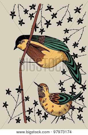 2 Birds