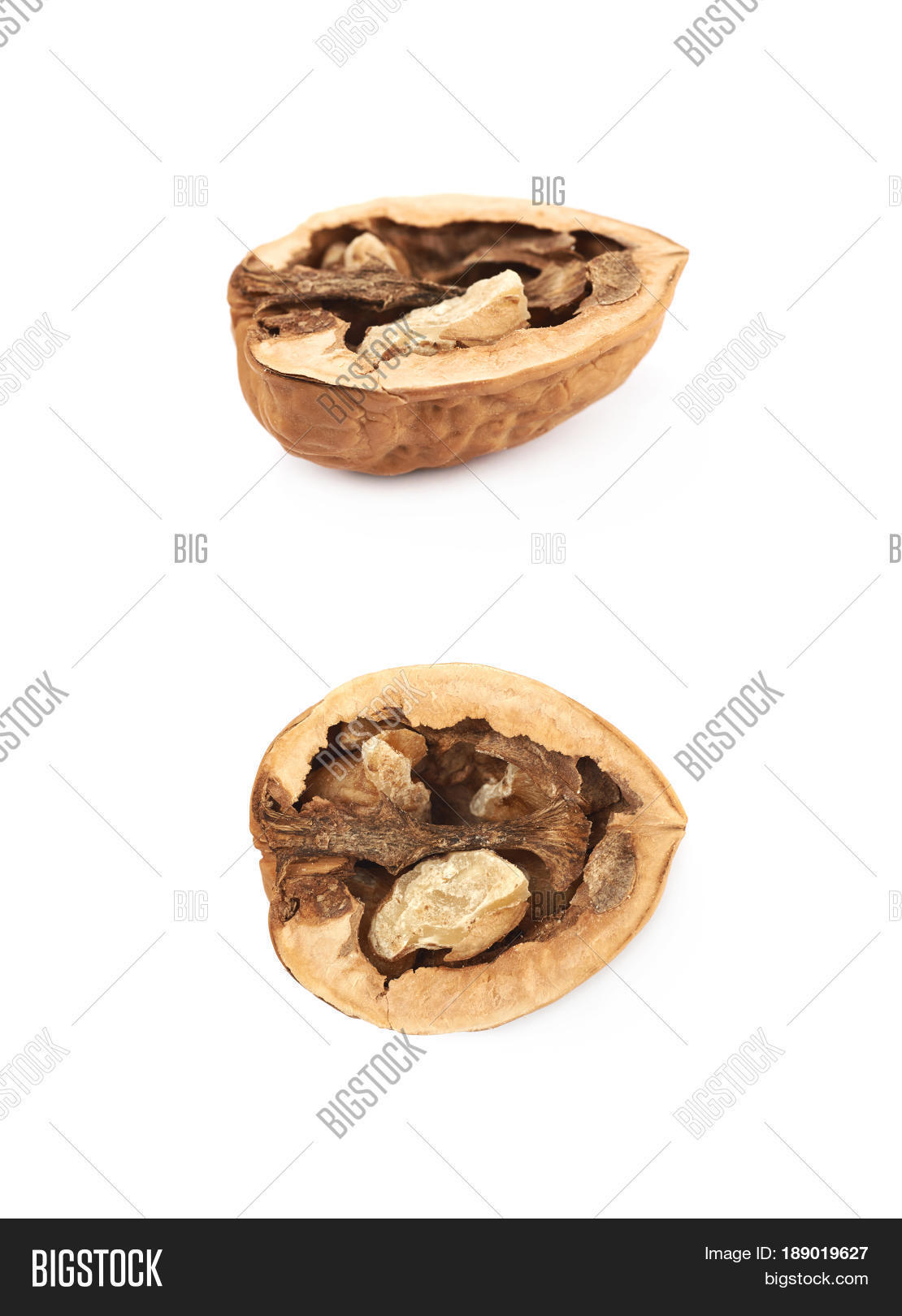 Cracked Walnut Image & Photo (Free Trial) | Bigstock