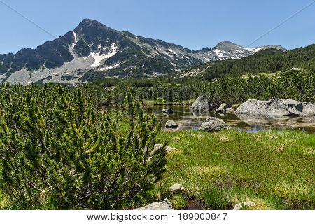 Landscape with Reflection of Sivrya peak in Banski lakes, Pirin Mountain, Bulgaria