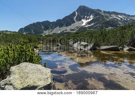 Landscape with Reflection of Sivrya peak in Banski lakes, Pirin Mountain, Bulgaria