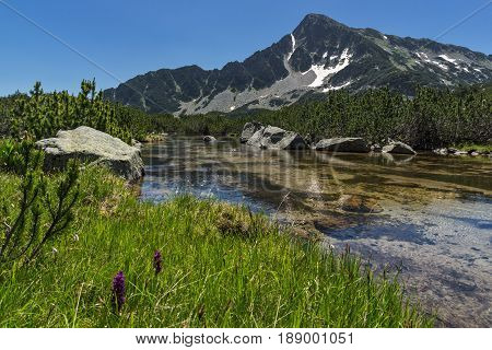 Landscape with Reflection of Sivrya peak in Banski lakes, Pirin Mountain, Bulgaria