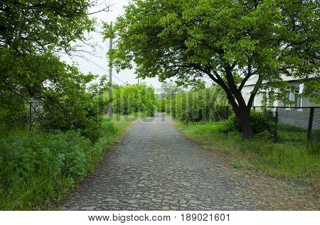 The road from the cobblestone passes through dense green vegetation.